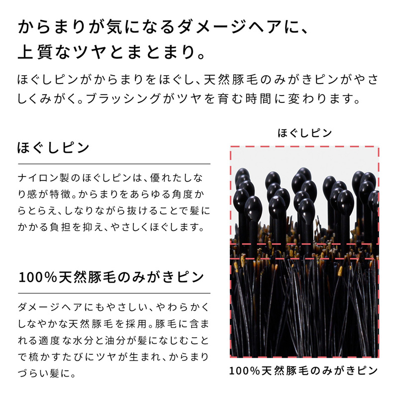 リファエールブラシレイ ブラック