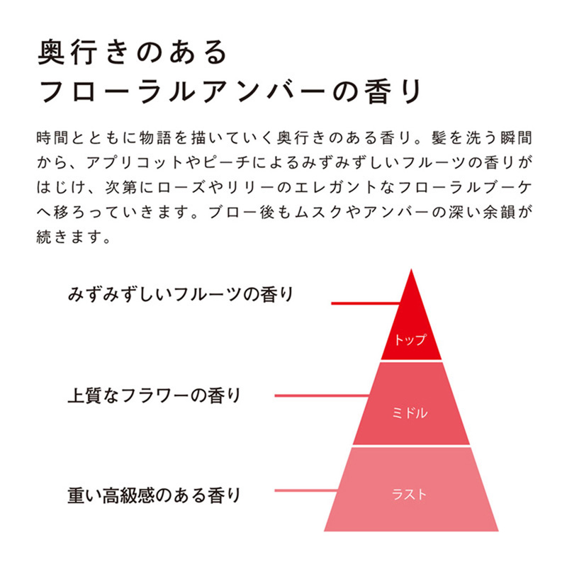 リファビューテックシャンプー 500ml